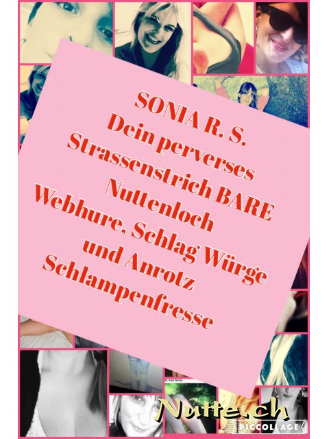 Bild von EheSoniaSau